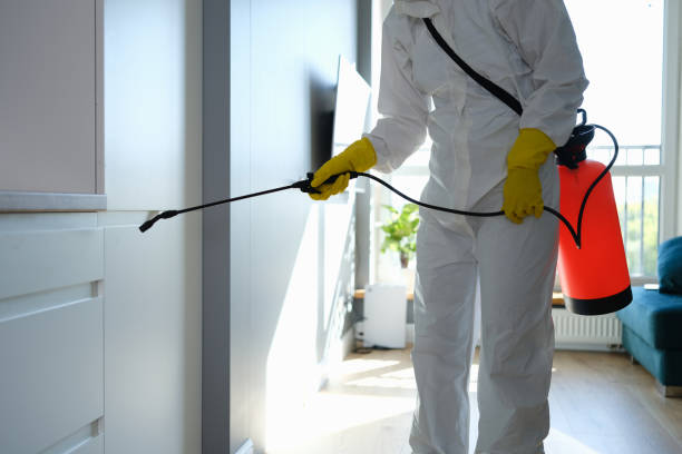 Best Residential Mold Removal  in Presidio, TX