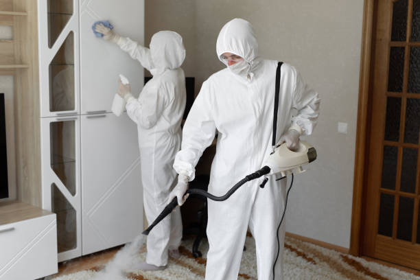 Best Mold Damage Repair  in Presidio, TX