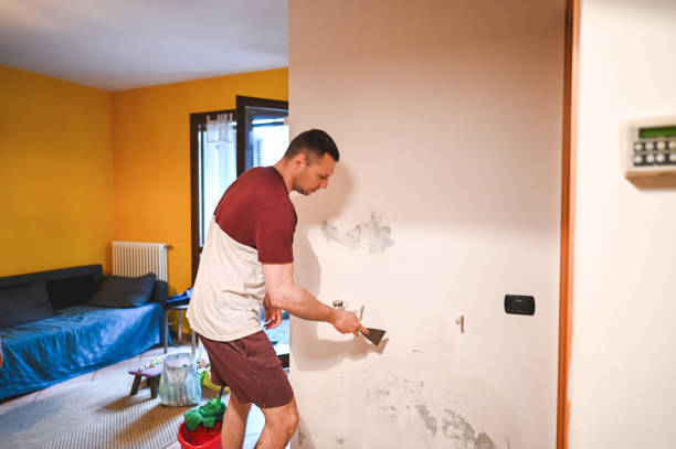 Best Crawl Space Mold Removal  in Presidio, TX